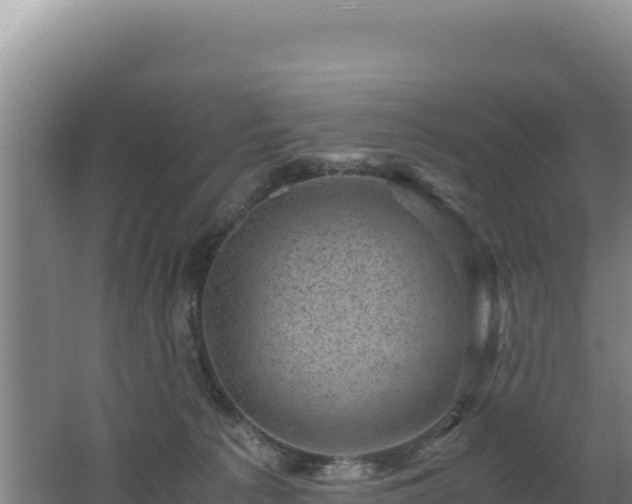 X0000062630225200512231022