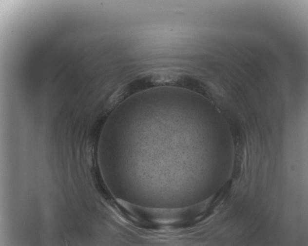 X0000062630227200512231022