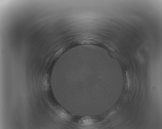 X0000062630228200512231022