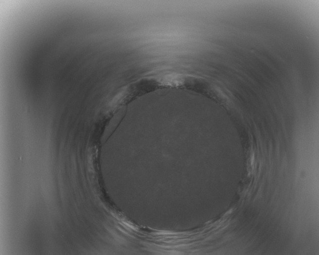 X0000062630229200512231022