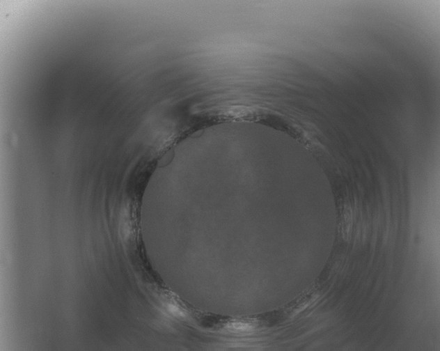 X0000062630236200512231022