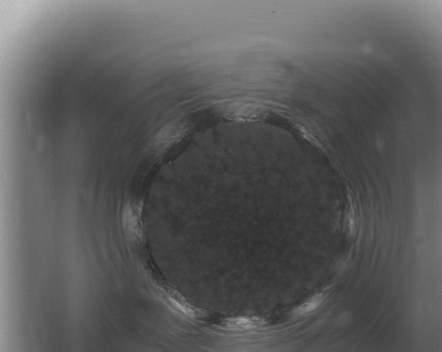 X0000062630239200512231022