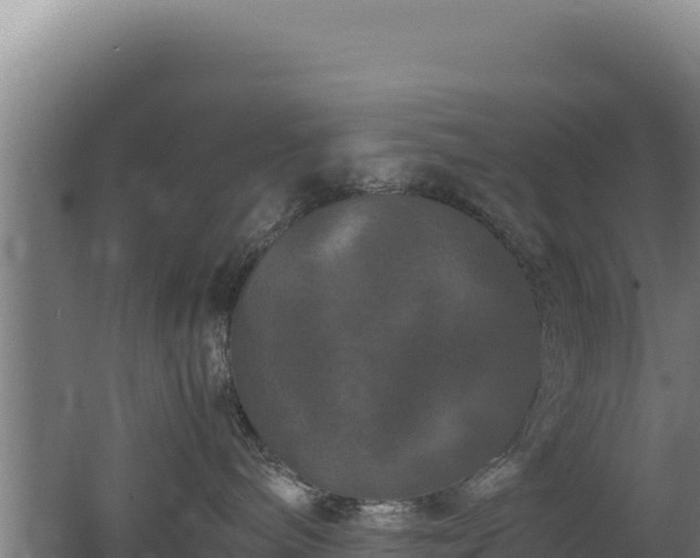 X0000062630240200512231022