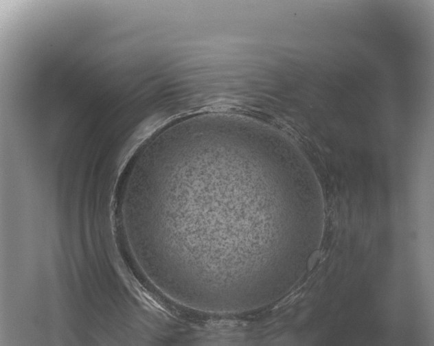 X0000062630242200512231021