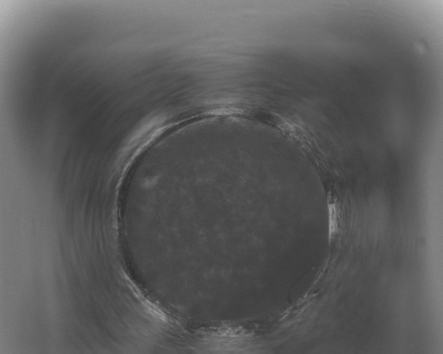 X0000062630243200512231021