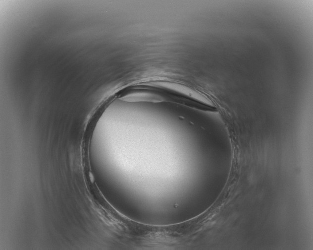 X0000062630244200512231021