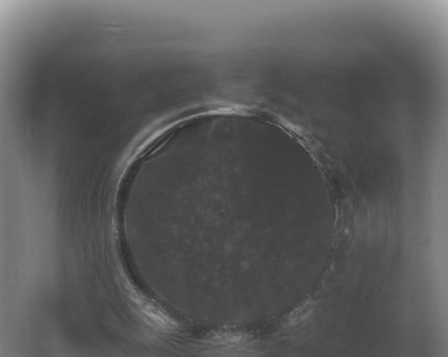 X0000062630247200512231021