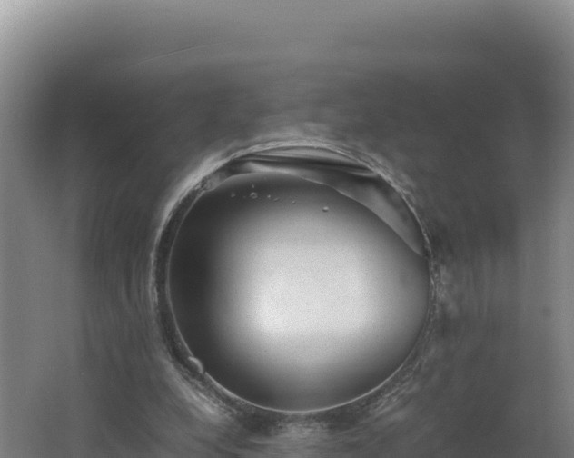 X0000062630248200512231021