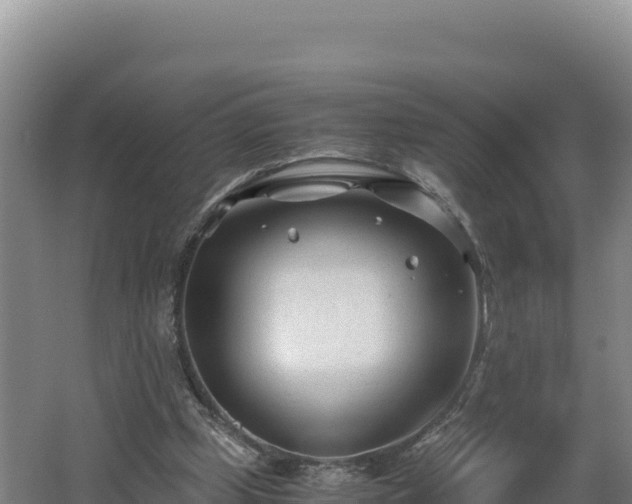 X0000062630249200512231021