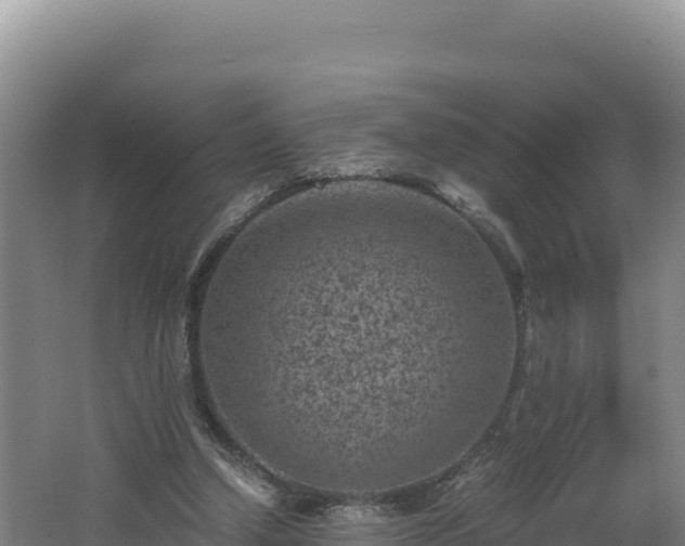 X0000062630250200512231021