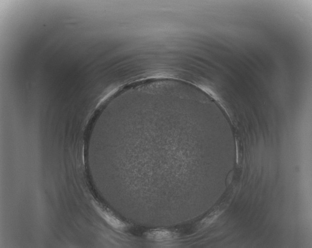 X0000062630253200512231021