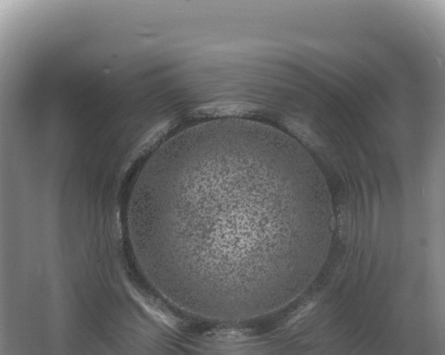 X0000062630254200512231021