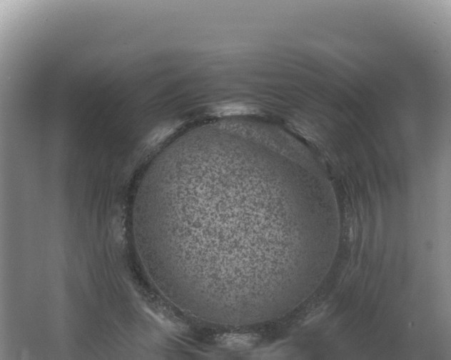 X0000062630255200512231021