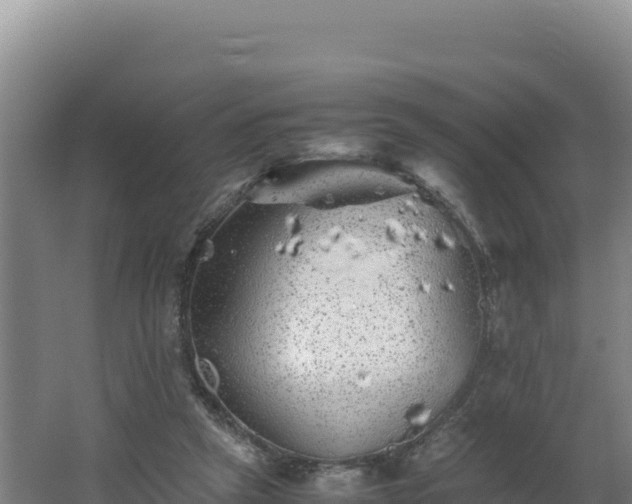 X0000062630257200512231021