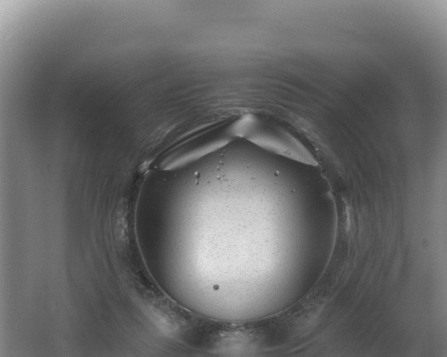 X0000062630259200512231021