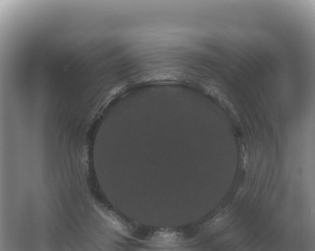 X0000062630260200512231021