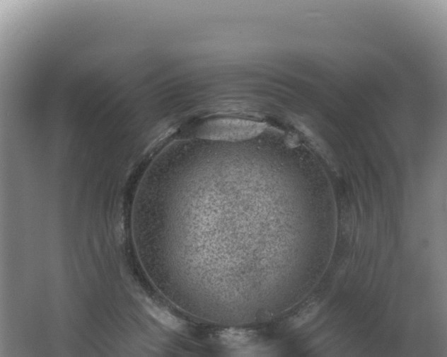 X0000062630261200512231021