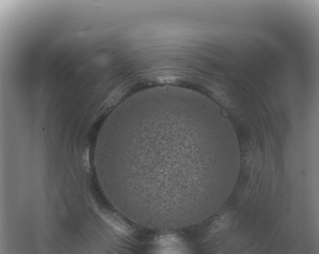 X0000062630262200512231021