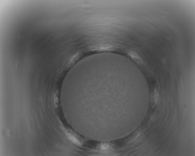 X0000062630264200512231021