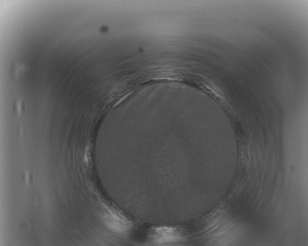 X0000062630265200512231021