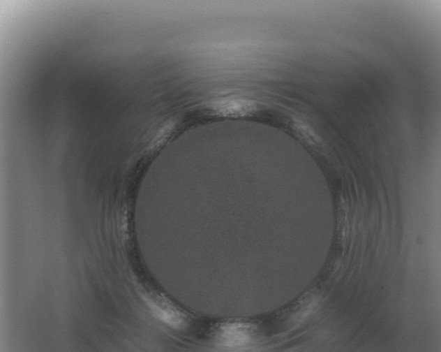 X0000062630268200512231021