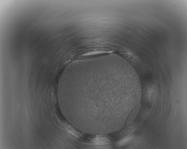 X0000062630270200512231021