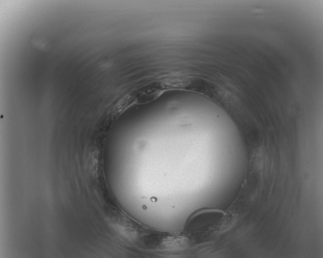 X0000062630271200512231021