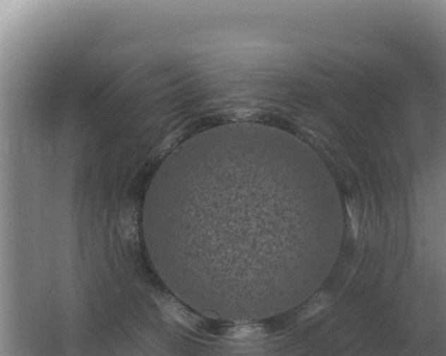 X0000062630274200512231022