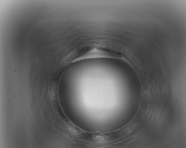 X0000062630277200512231022