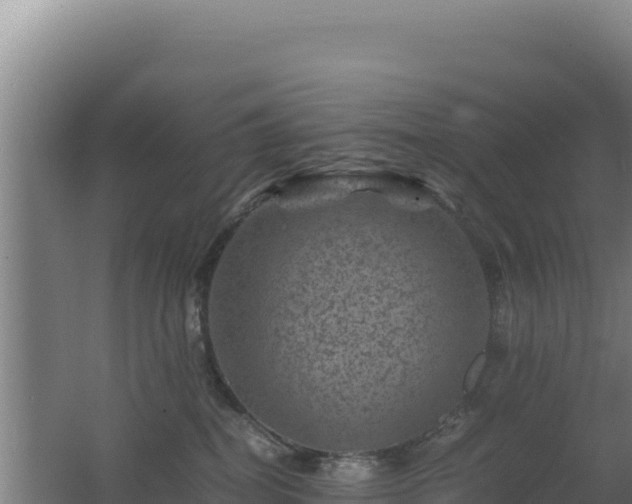 X0000062630282200512231022