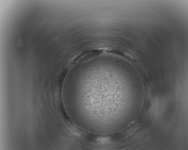 X0000062630283200512231022