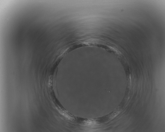 X0000062630284200512231022