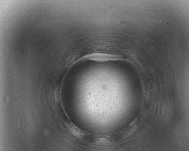 X0000062630285200512231022