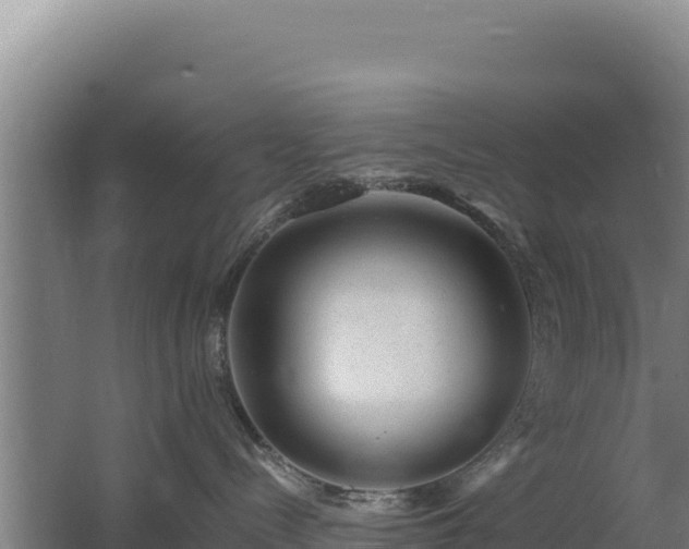 X0000062630288200512231022