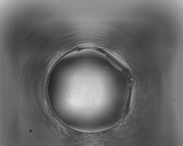 X0000062630289200512231021