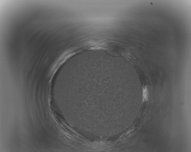 X0000062630291200512231021