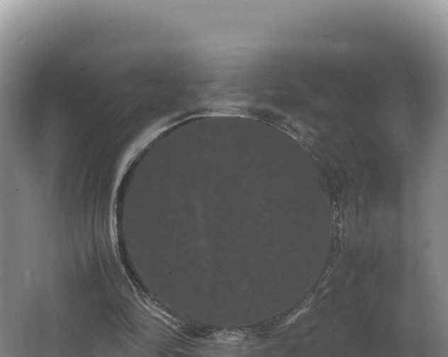 X0000062630294200512231021