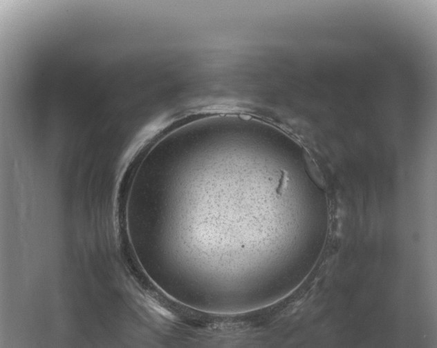 X0000062630296200512231021