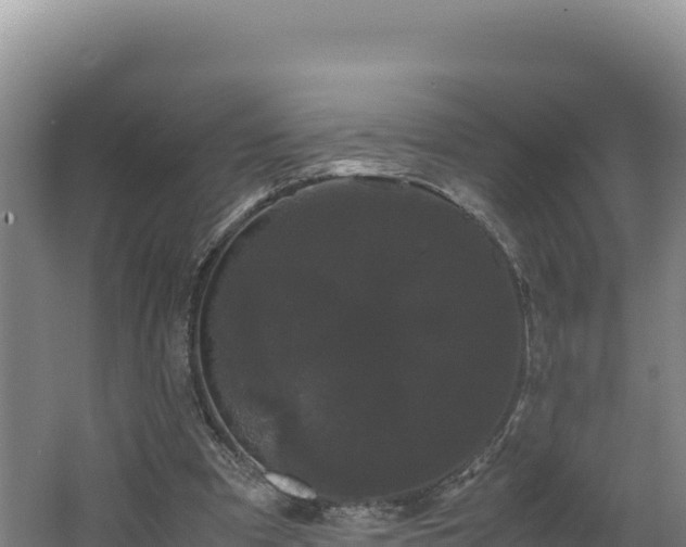 X0000062630297200512231021