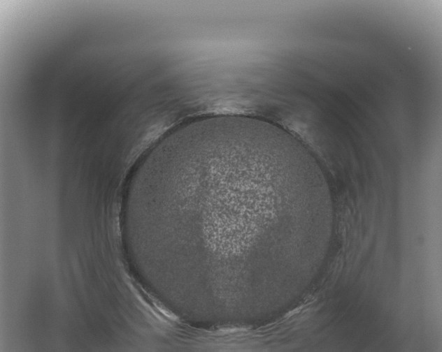 X0000062630299200512231021