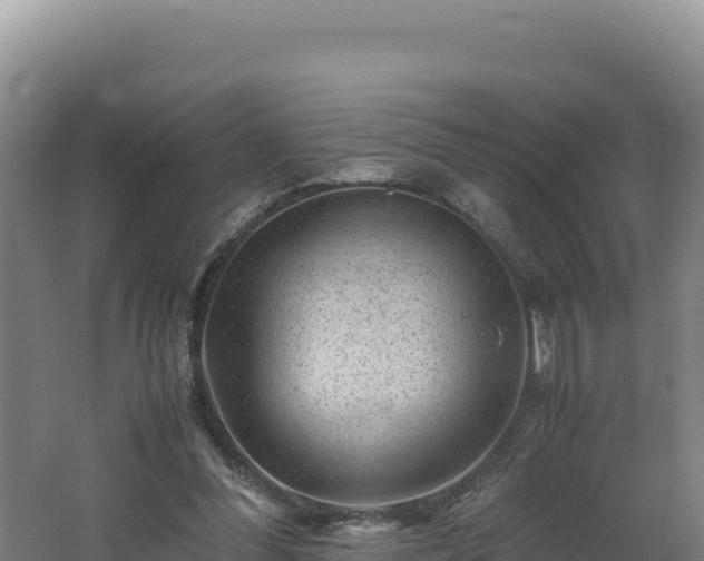 X0000062630300200512231021