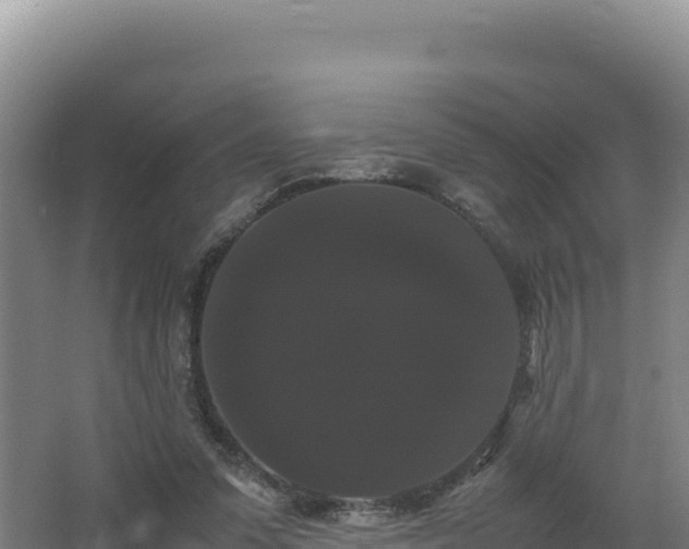 X0000062630303200512231021