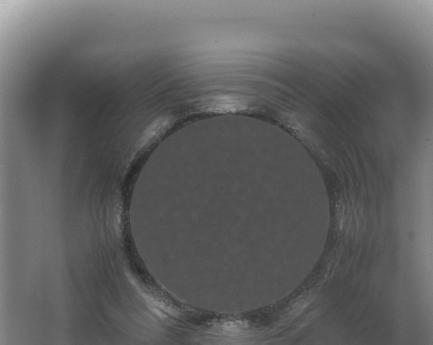 X0000062630304200512231021