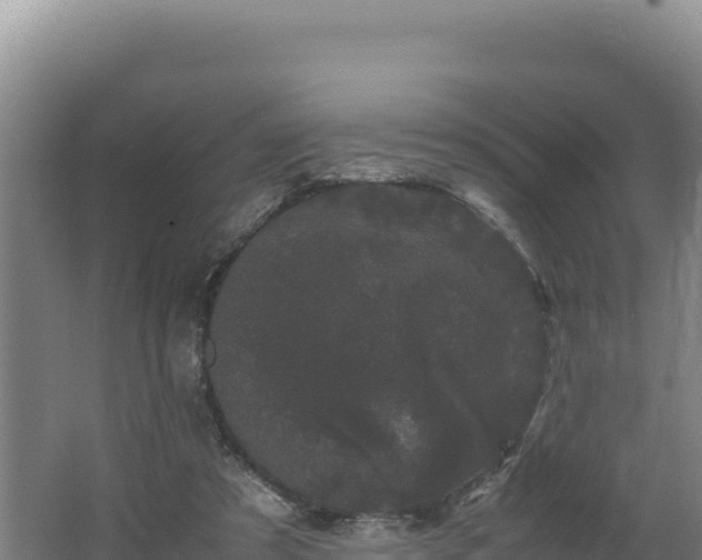 X0000062630305200512231021