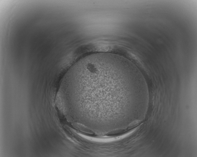 X0000062630307200512231021