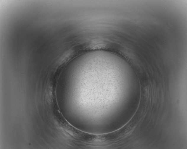 X0000062630308200512231021