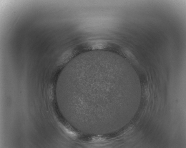 X0000062630311200512231021