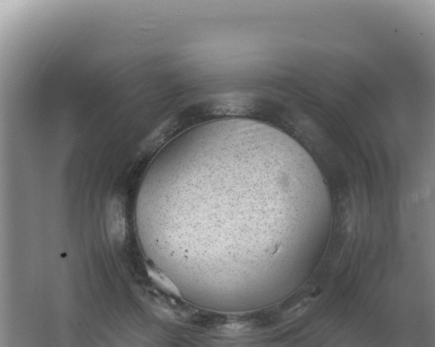 X0000062630312200512231021