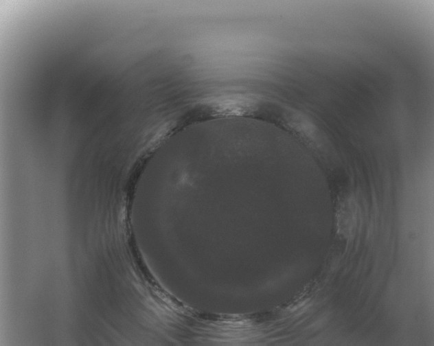 X0000062630314200512231020