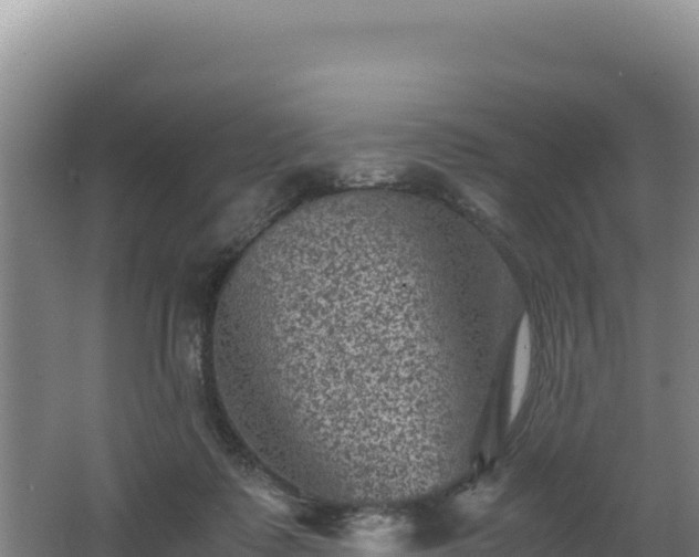 X0000062630315200512231020